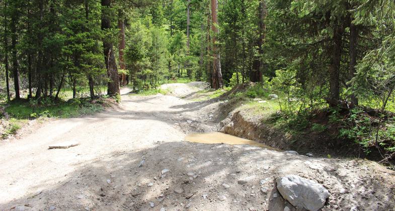 Photo by USFS.