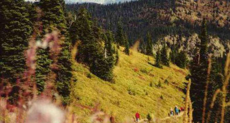 photo by Neil Malkasian.