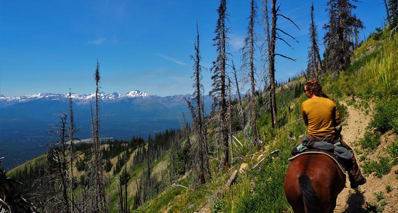 USFS employee trail crew. The horse, Lucky, has worked for the USFS more than 10 yrs. Photo by Fischer Gangemi.