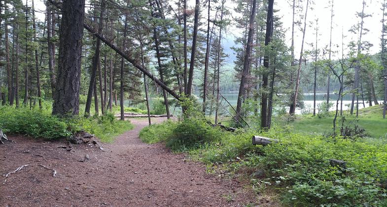Trail. Photo by Kasie Haack.