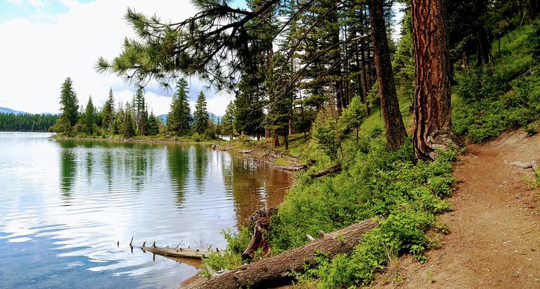 Holland Lake trail side. Photo by Kasie Haack.