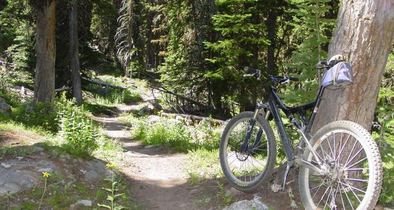 1,550 feet of climbing over 4.3 miles. Photo by Singletracks.com.