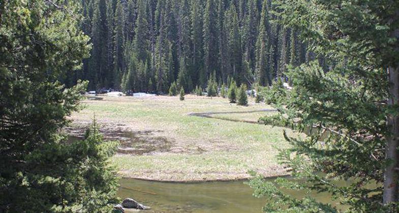 The trailhead starts at the Bismark Reservoir. Photo by USFS.