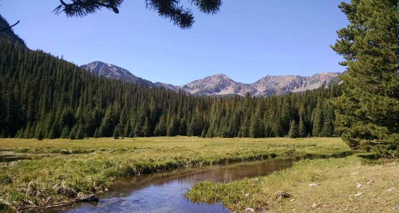 The trailhead starts at the Bismark Reservoir. Photo by USFS.
