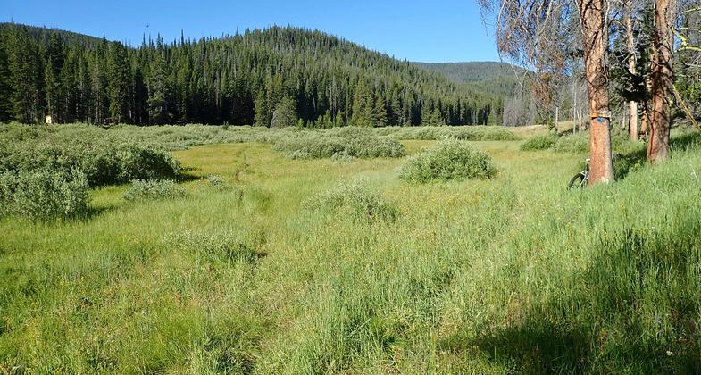 Junction of the short trail to May Creek Cabin and May Creek Trail. Photo by David Lingle.