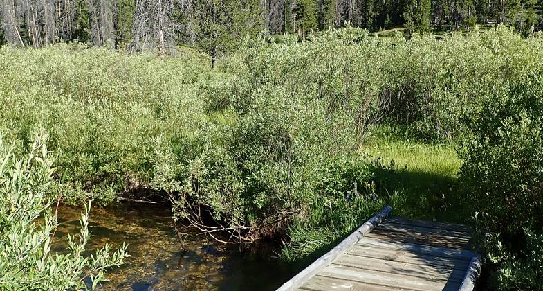 May Creek Cabin is a popular place to visit in winter. The woodshed is kept stocked with firewood. Photo by David Lingle.