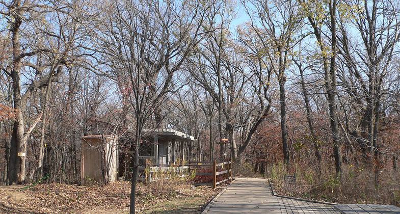 Boardwalk running through woods in fall. Photo by Ammodramus.
