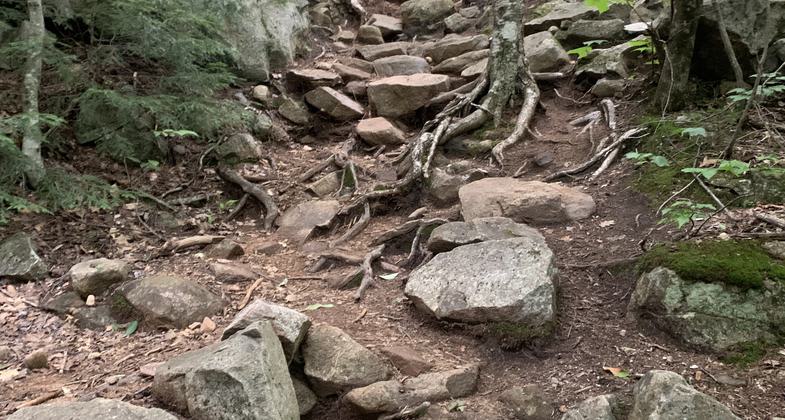 The Albany bridge was built in 1858 across the Swift River in New Hampshire. Photo by Earl Mcgehee.