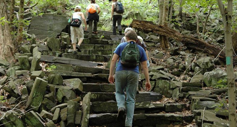 Hikers ascending stairs on the Long Path. Photo by Anthony Taranto.