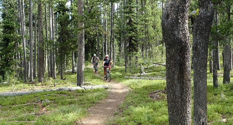 The Divide #106 trail passes near a small pond. Photo by David Lingle.