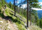 The Divide Trail steepens as it near the Twin Creek junction. Photo by David Lingle.
