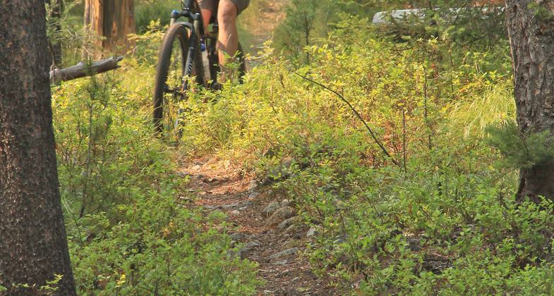 A motorcycle leans on the trail sign at the north end of the Divide #106 singletrack. Photo by David Lingle.