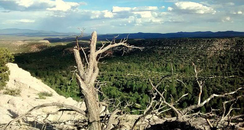 East Rim Trail. Photo by Aaron Zhu.