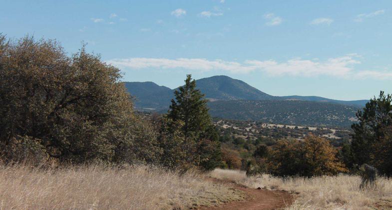 Fort Bayard Trail System. Photo by USFS.