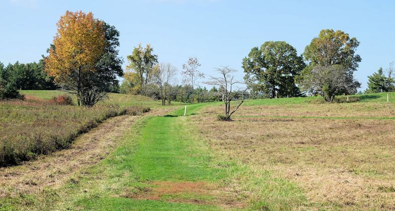 Wilkinson Trail at Saratoga NHP - 10-10-2018. Photo by Jim Walla.