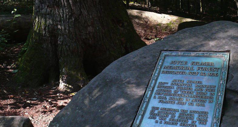 Poet Joyce Kilmer forest dedication marker. Photo by Ken Thomas/wiki.