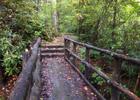 Bridge crossing on the Joyce Kilmer Memorial Loop trail. Photo by Donna Kridelbaugh.