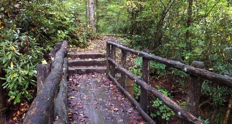 Bridge crossing on the Joyce Kilmer Memorial Loop trail. Photo by Donna Kridelbaugh.