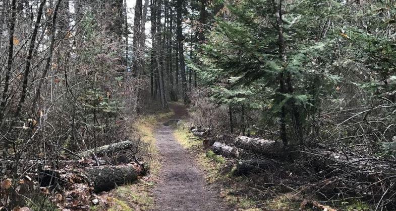 English Point on near Hayden Lake. Photo courtesy of https://naughtyhiker.wordpress.com/.