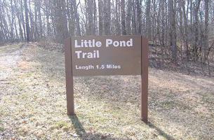 Little Pond
