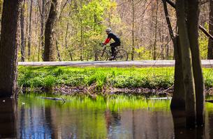 Rocky River Reservation All Purpose Trail