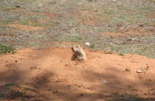 Frank Raab Nature Trail
