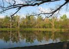 Pond at Mohawk Park. Photo by Ed Cumming.