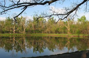 Oxley Nature Center Trails System