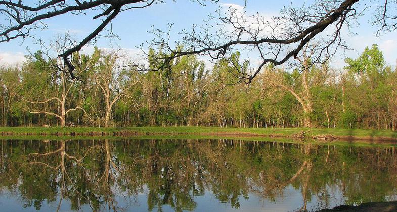Pond at Mohawk Park. Photo by Ed Cumming.
