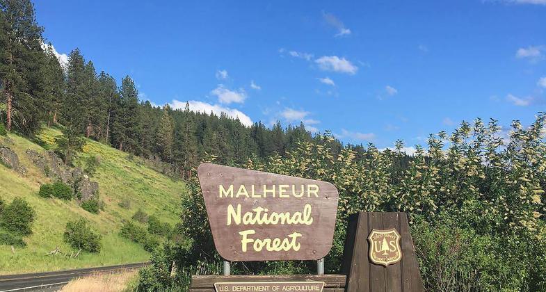 Malheur National Forest Entrance. Photo by Evan p. Cordes wiki.