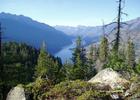 Okanagan-Wenatchee National Forest; up Lake Chelan in central Washington state (photographer: Lisa Therrell).