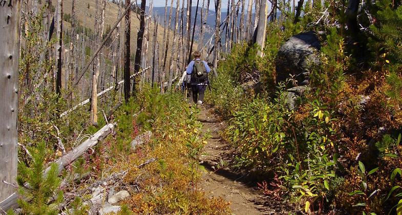 Photo by Lisa Therrell.