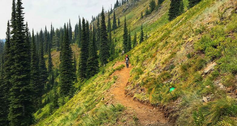 Trail work on the Shedroof Divide. Photo by Kristy Canright.
