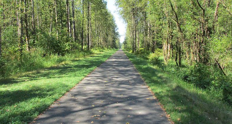 Photo by Robert Ashworth.