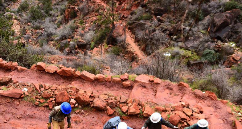 Crew members from the American Conservation Experience working on cyclical trail maintenance. Photo by Jessica Plance.