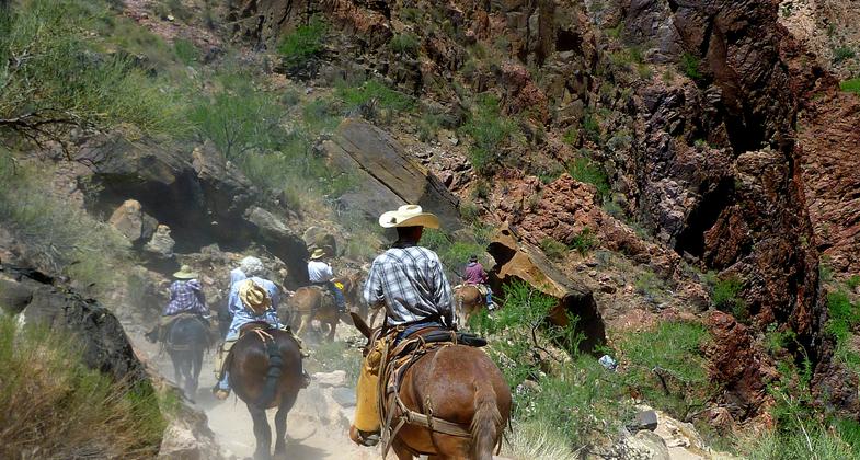 Crew members from the American Conservation Experience working on cyclical trail maintenance. Photo by Jessica Plance.