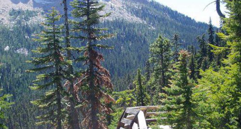 Photo by Lisa Therrell.