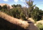 North, where the 6th Avenue bike trail meets the Yakima Greenway, under the shadow of Highway 12. Photo by September Autumnleaf/wiki.