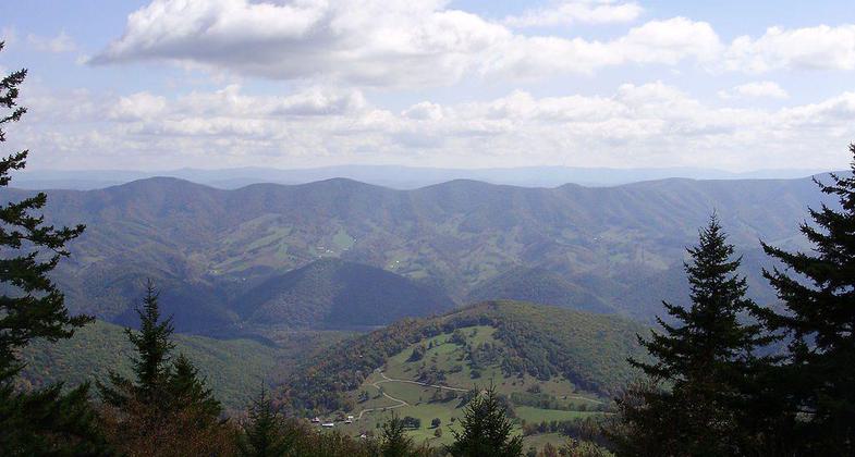 View southeast through Red Spruce forest from the Whispering Spruce Trail just southeast of Spruce Knob, West Virginia. Photo by Famartin.
