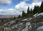 View north from the Whispering Spruce Trail just west of Spruce Knob, West Virginia. Photo by Famartin.