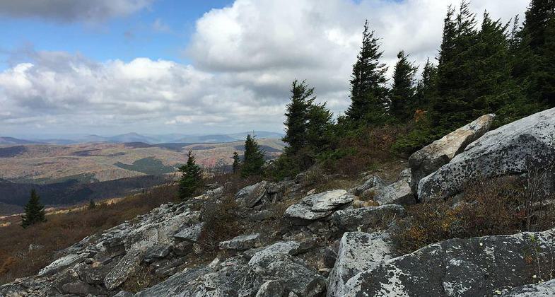 View north from the Whispering Spruce Trail just west of Spruce Knob, West Virginia. Photo by Famartin.