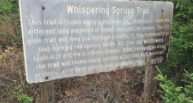 Sign describing the Whispering Spruce Trail on Spruce Knob, West Virginia. Photo by Famartin.