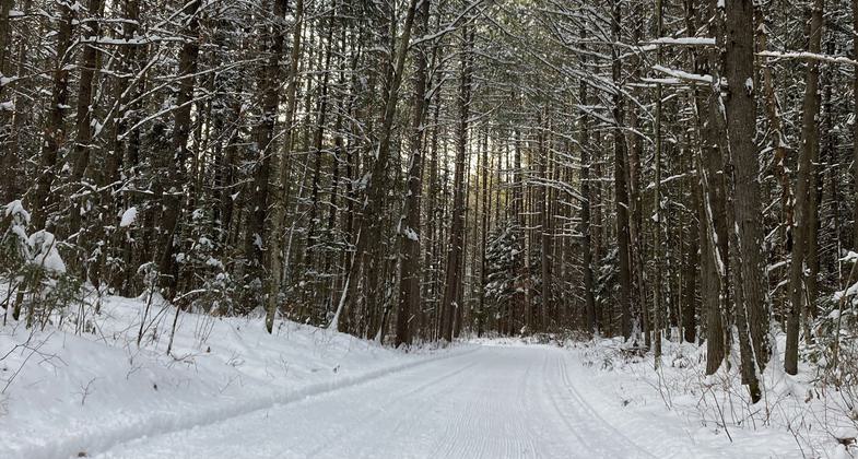 Happy skiing! Photo by Courtesy USFS.