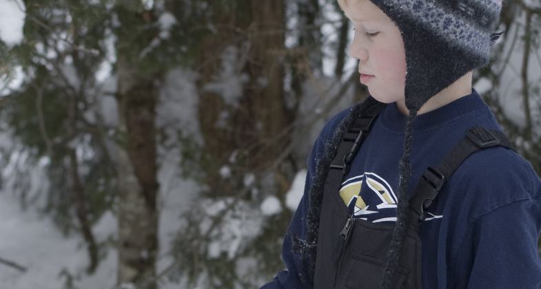 Feed the birds - Anvil Lake shelter. Photo by Tom Peterson.