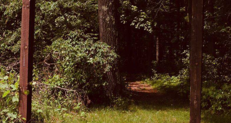 Photo by Madison Paradowski.