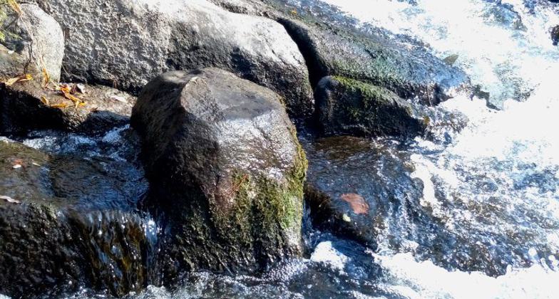 Photo by Sam Hildebrandt.