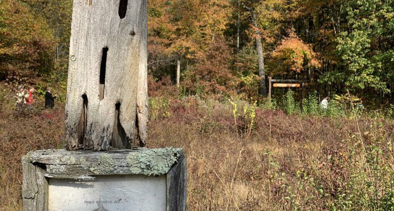 Photo by Ethan Reimann.