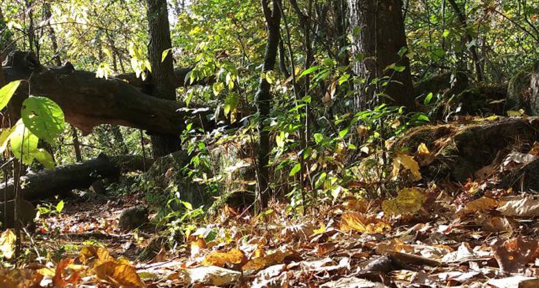 Photo by Emily Beck.