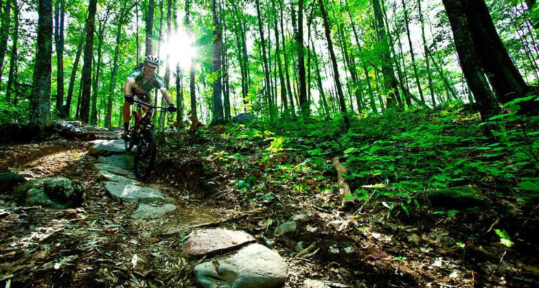 Chequamegon Area Mountain Bike Association rider. Photo by Leslie Kehmeier.