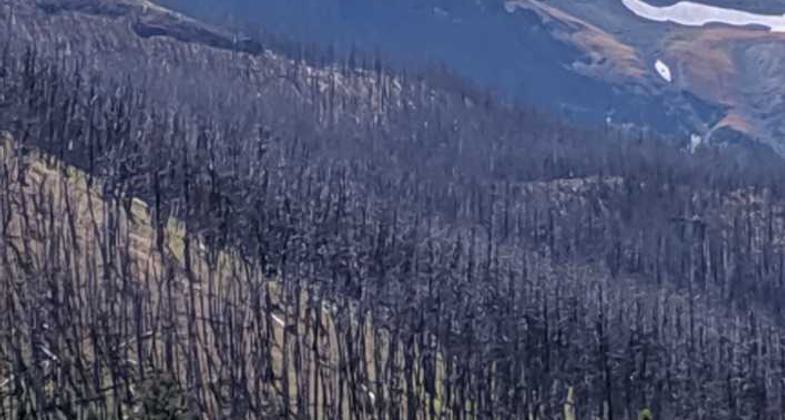 Absaroka Outdoor Fellowship hike. Photo by Leslie Tribble.
